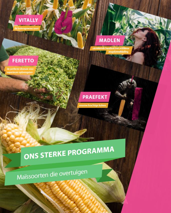 euroCORN Brochure 2018